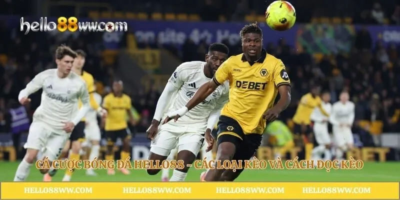 Cá Cược Bóng Đá Hello88 - Các Loại Kèo Và Cách Đọc Kèo