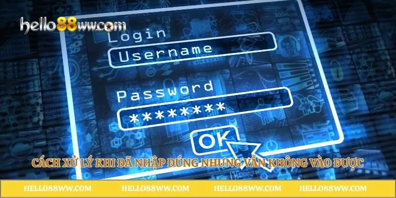 Cách xử lý khi đã nhập đúng nhưng vẫn không vào được